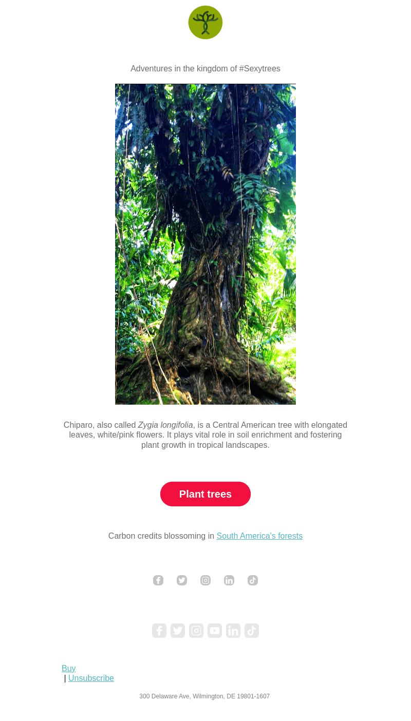 Tree-alicious talesBark and roll