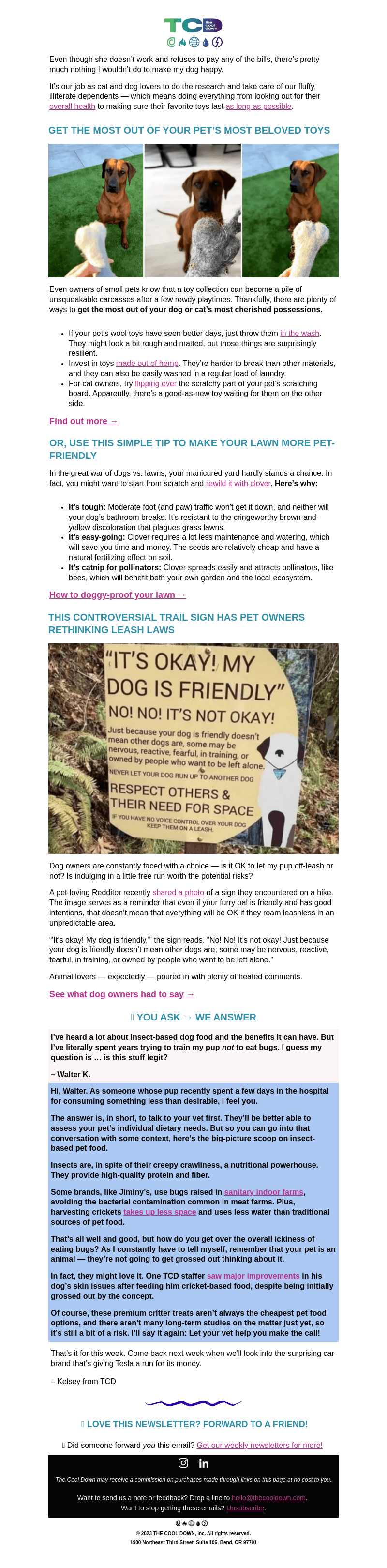🐶🐈 4 simple ways to make your pet happier