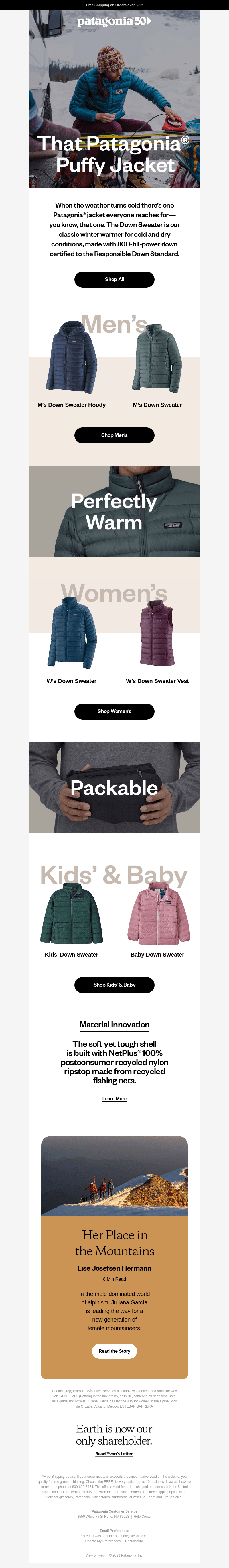 Down Sweater—that Patagonia puffy jacket