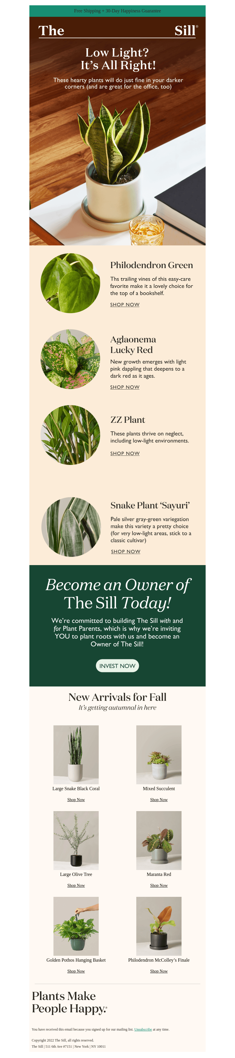 ⛅🪴 Lovely Low-Light Houseplants