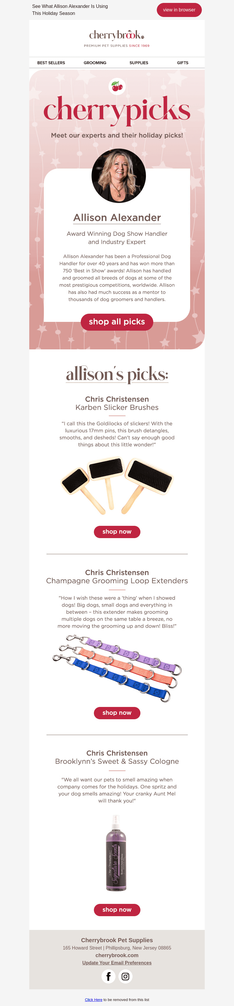 Meet Our Experts & Their Holiday Picks!