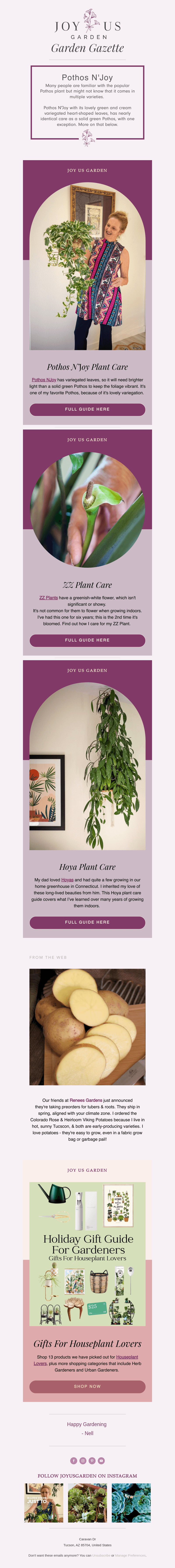 A Popular Variegated Pothos