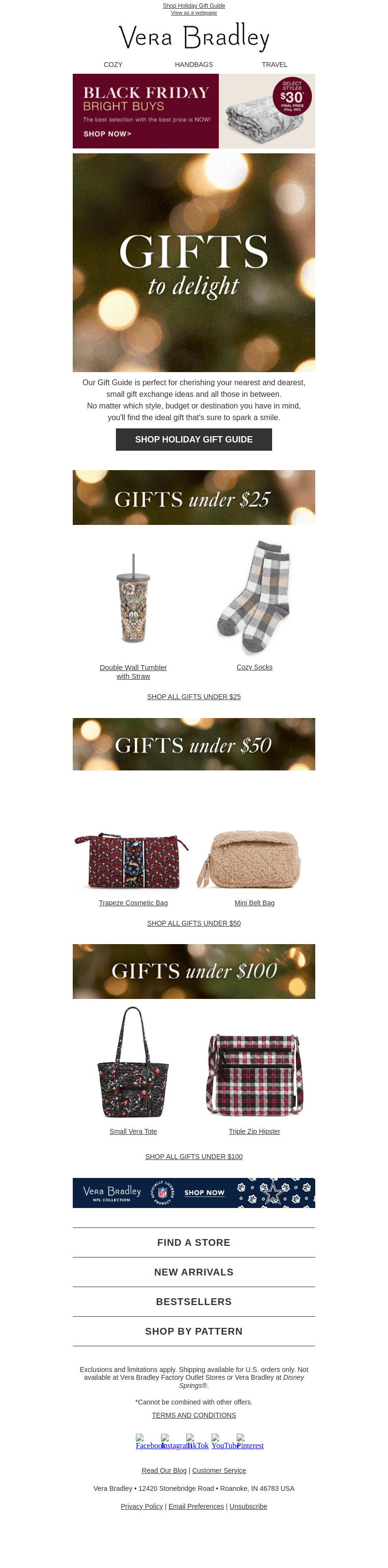 📩 Delivered: Your Holiday Gift Guide 🎁