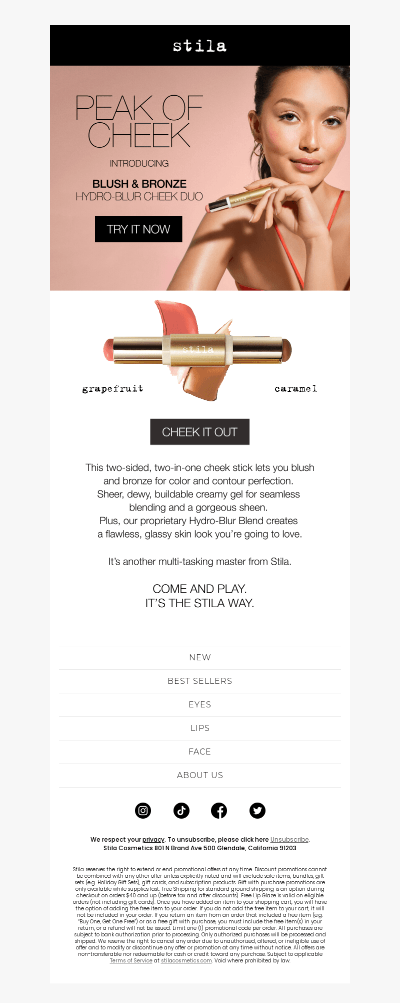 Introducing Blush & Bronze Hydro-Blur Cheek Duo