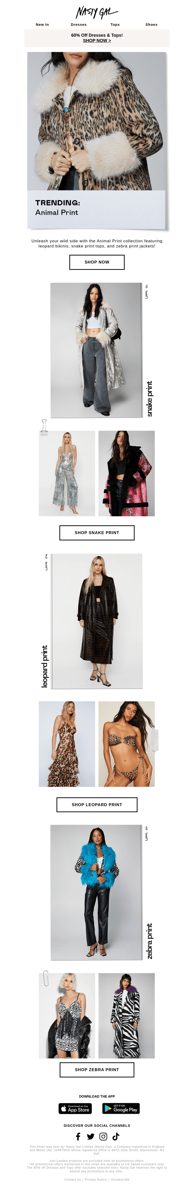 The Animal Print Edit