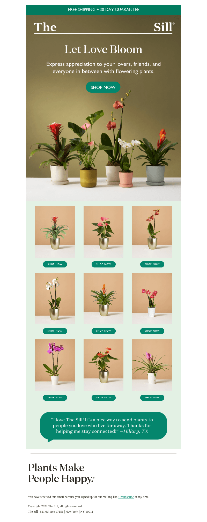 Long-Lasting Blooms 💐