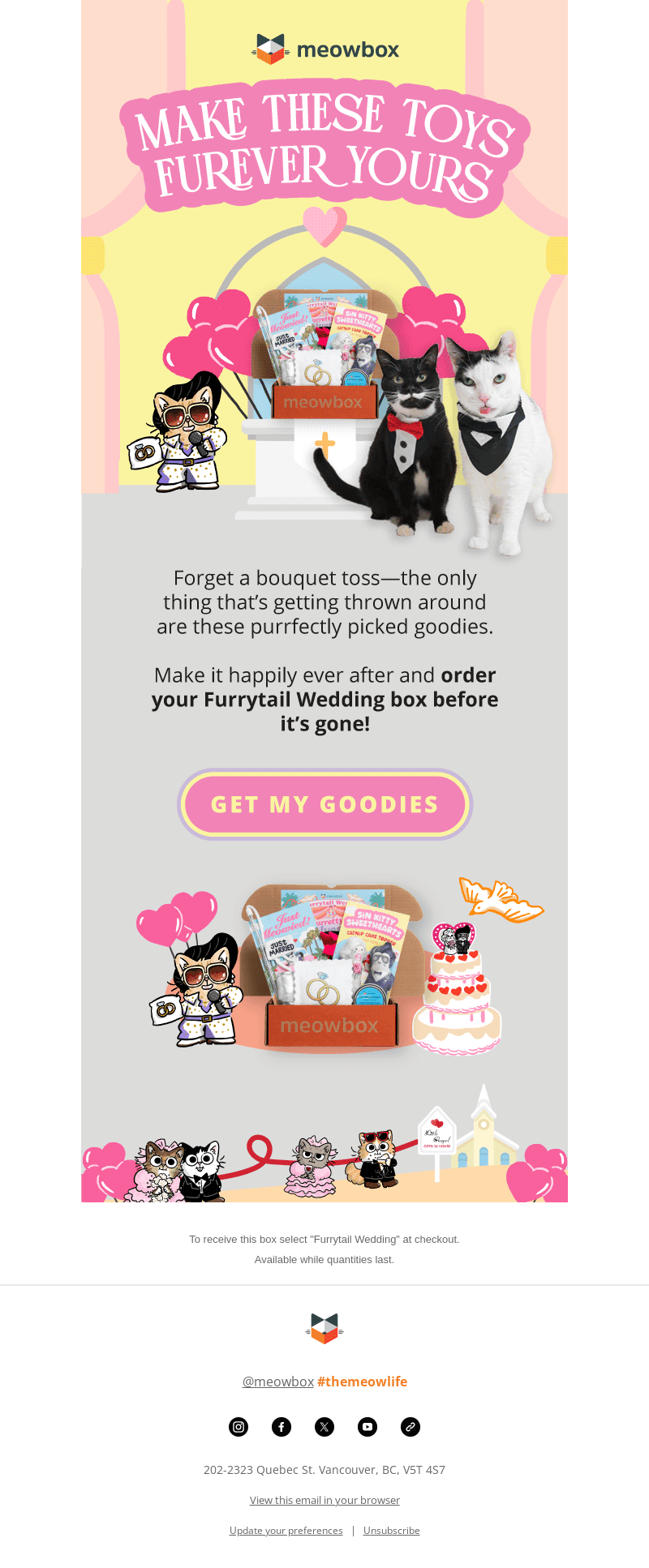 Here comes the cat happiness 🔔🎊🕊️