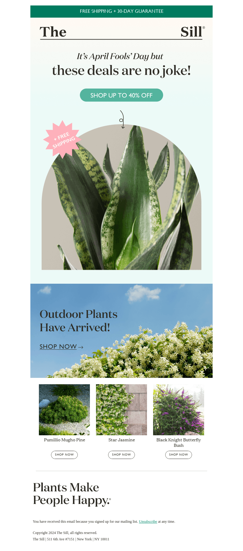 👉 Spring Deals Inside!