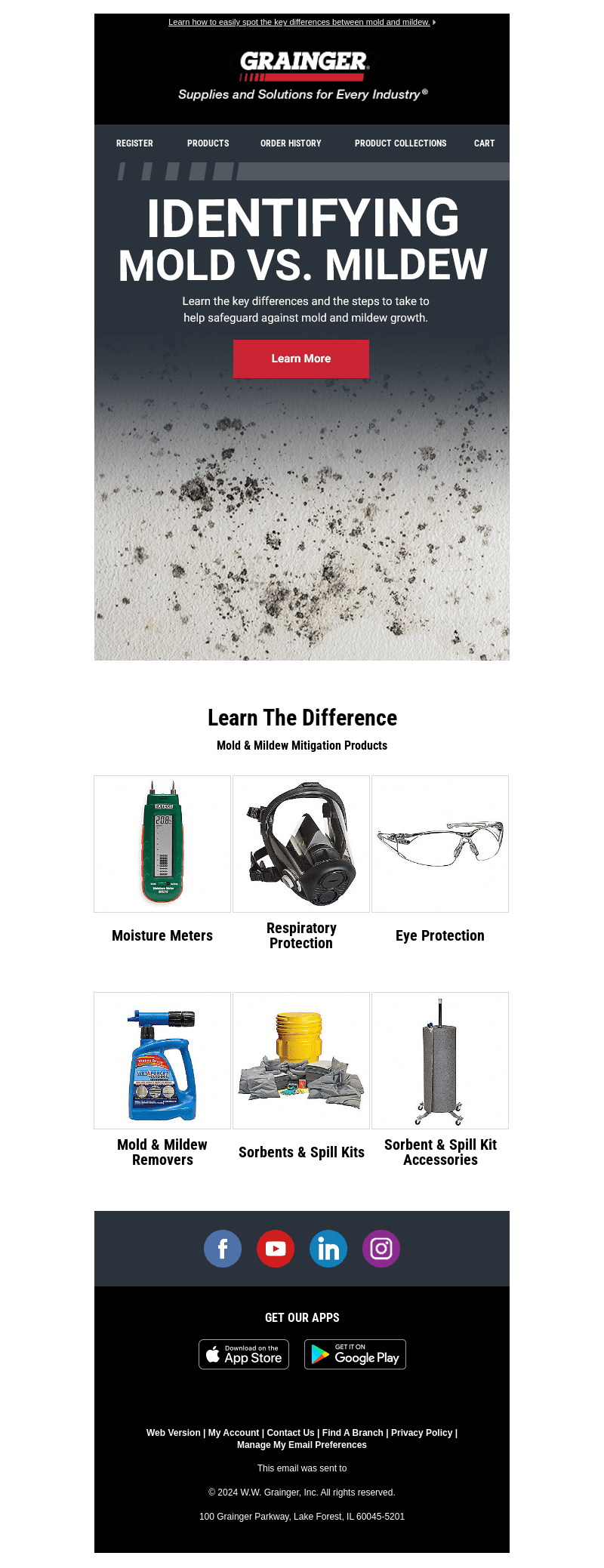 Mold vs. Mildew: Can You Tell the Difference?