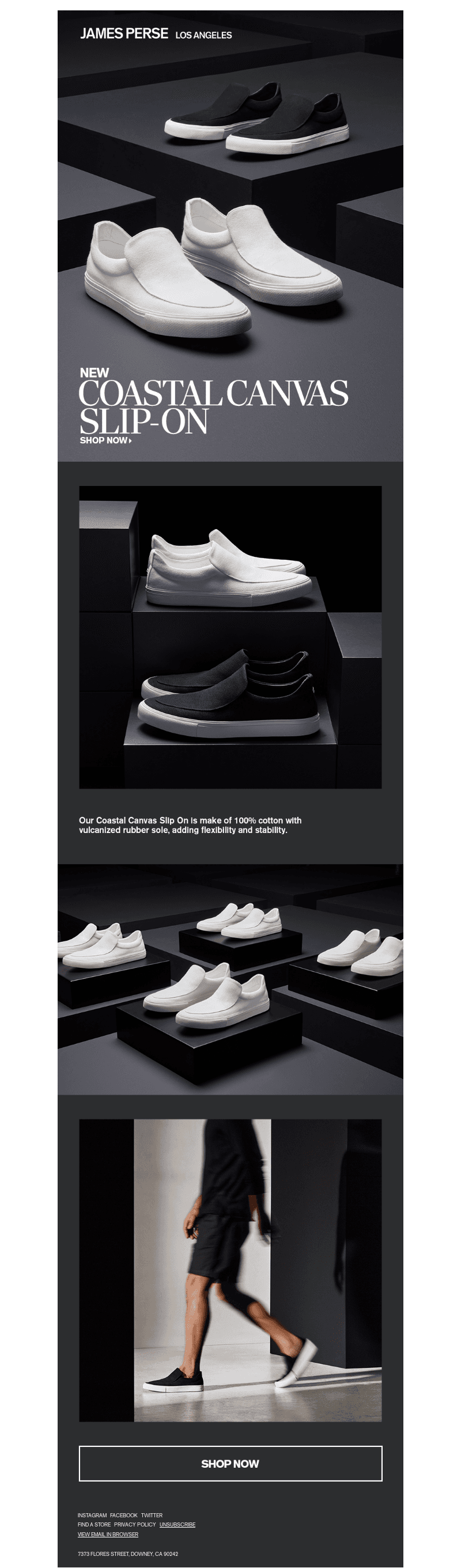 The Coastal Canvas Slip-On
