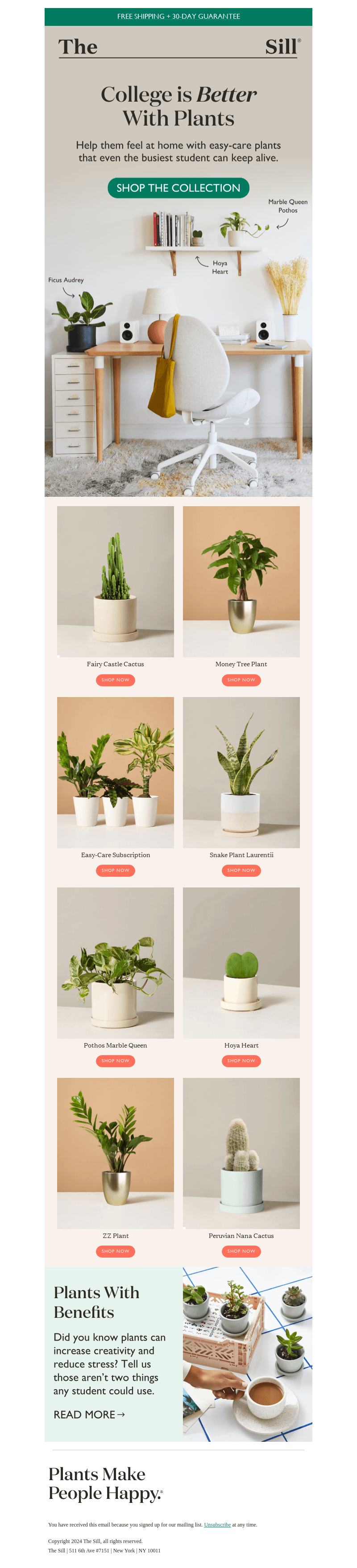 Meet the Back-To-School Collection