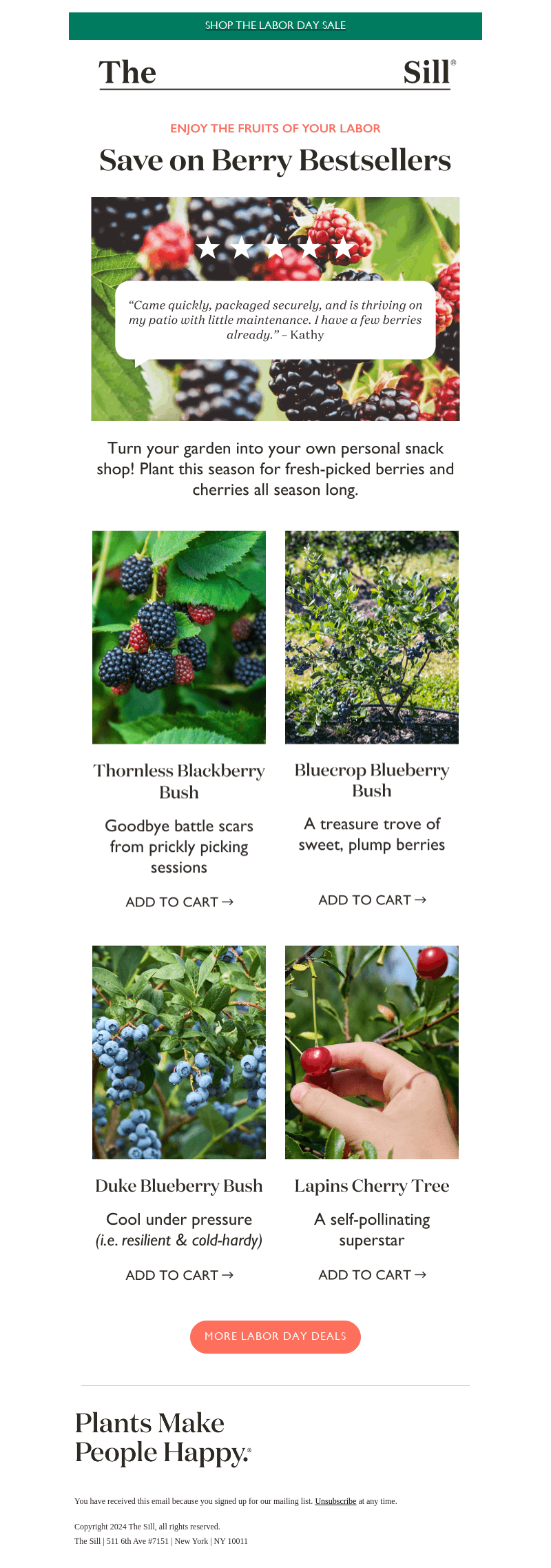 Grow Your Own Berries! 🫐