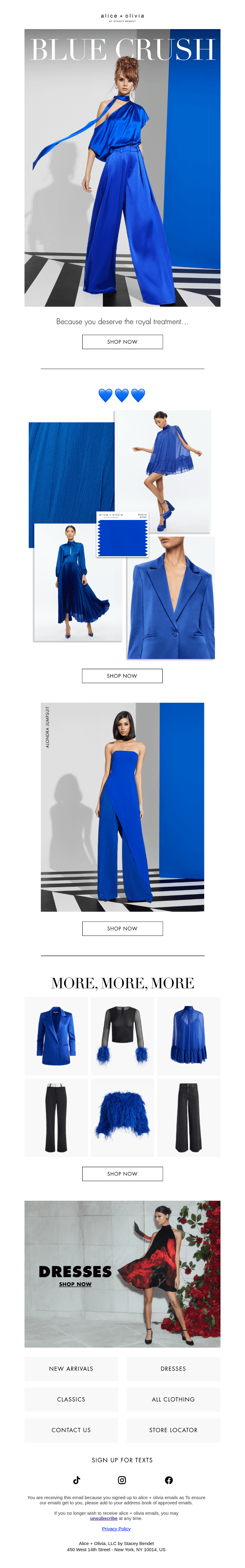 ROYAL BLUE OBSESSED 💙