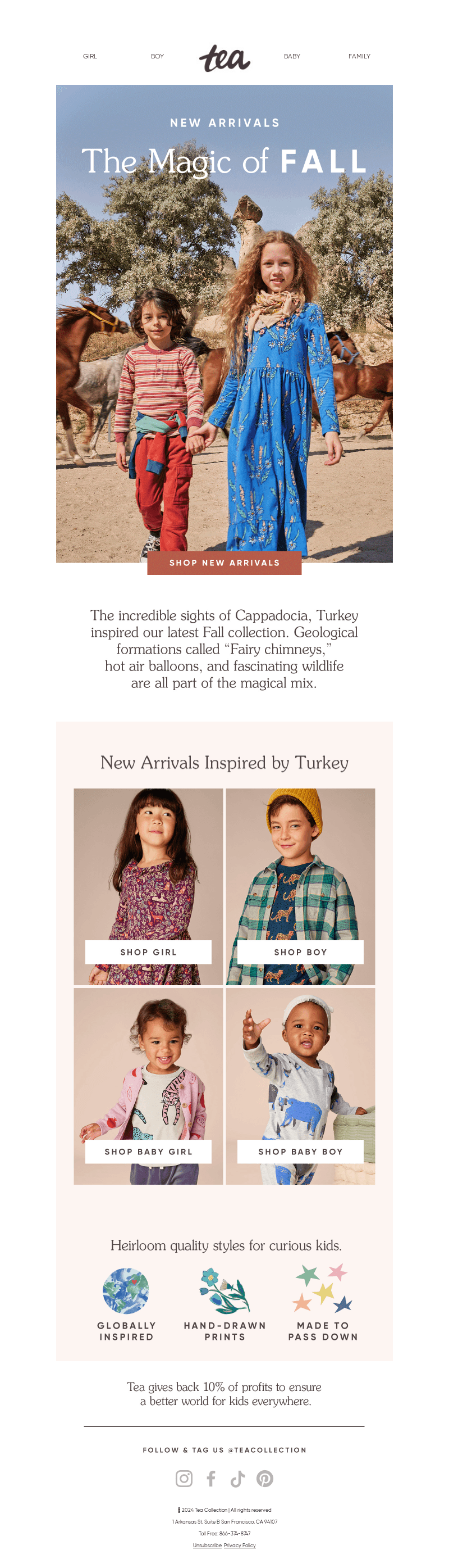 New Arrivals For A 🍂Magical Fall🍂