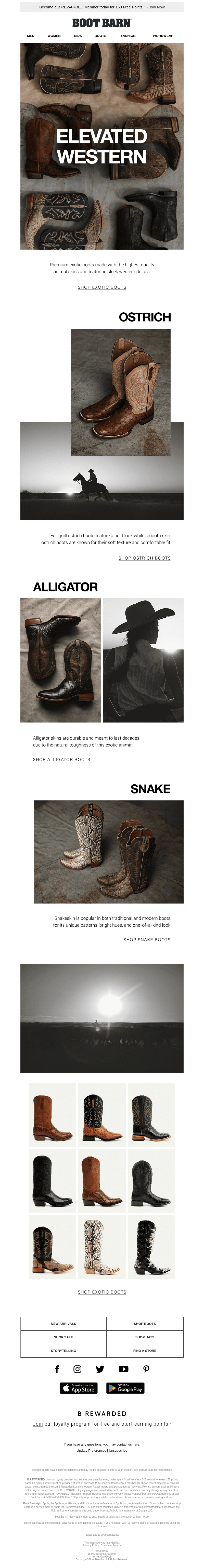 Exotic Ostrich, Alligator & Snakeskin Boots