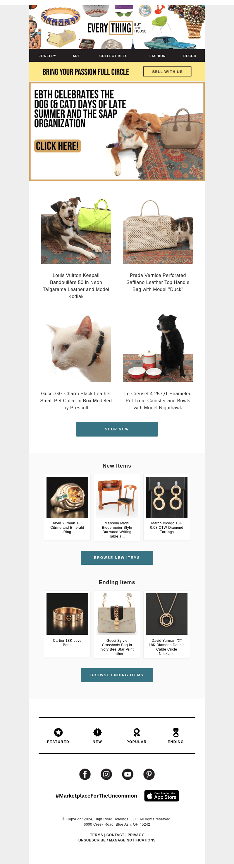 🐶 🐱 A Sale From EBTH Supporting The Stray Animal Adoption Program