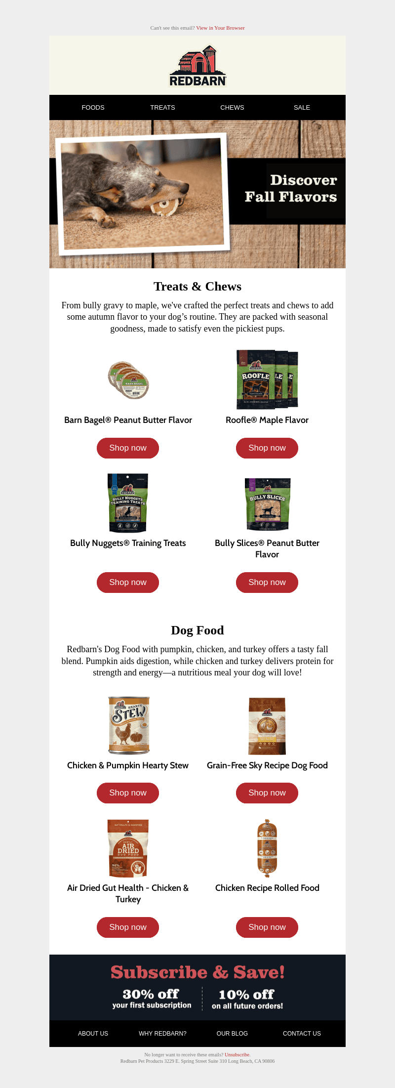 Fall Flavors Your Dog Will Love! 🍁 🐾