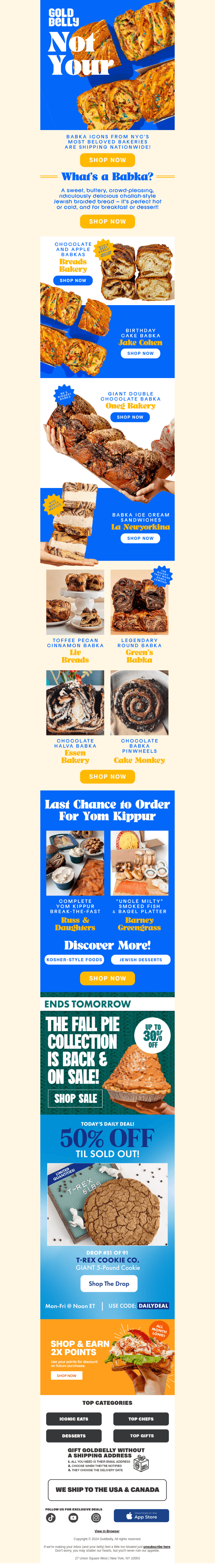 BABKA is BAAACCKK!