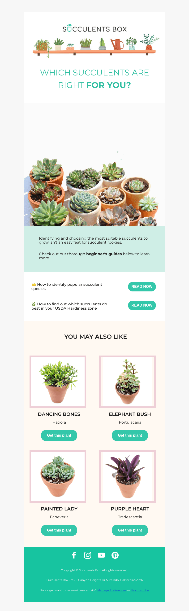 Which succulents can thrive in your zone? 🌱