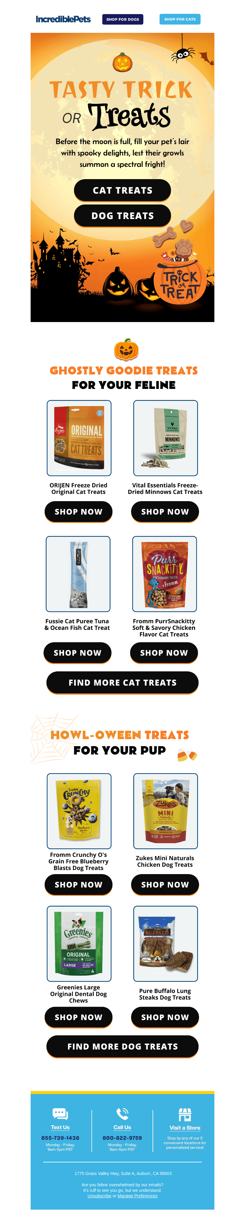 Your pet trick-or-treatin’? 🎃🍬