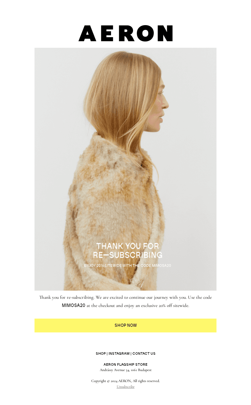 AERON email from Tue, Nov 19, 2024