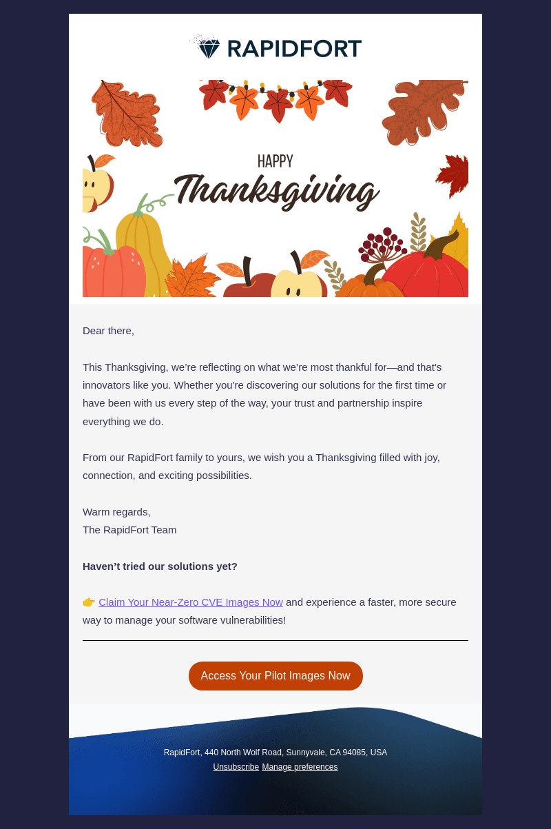 RAPIDFORT email from Thu, Nov 28, 2024