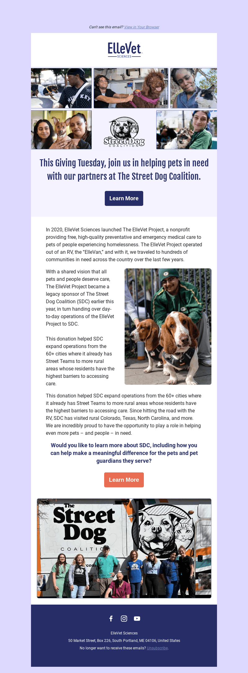 Support pets this Giving Tuesday! ❤️