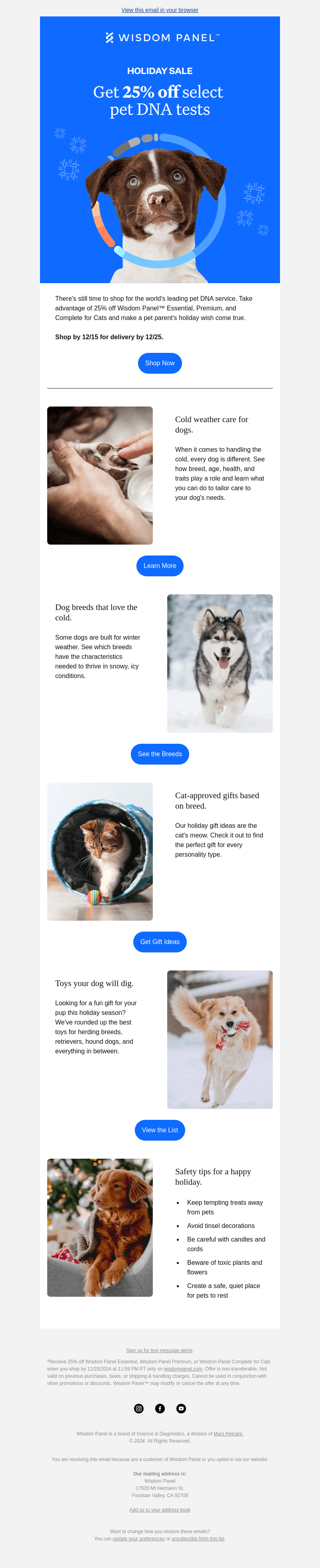 🎁 Holiday gift guide for pets