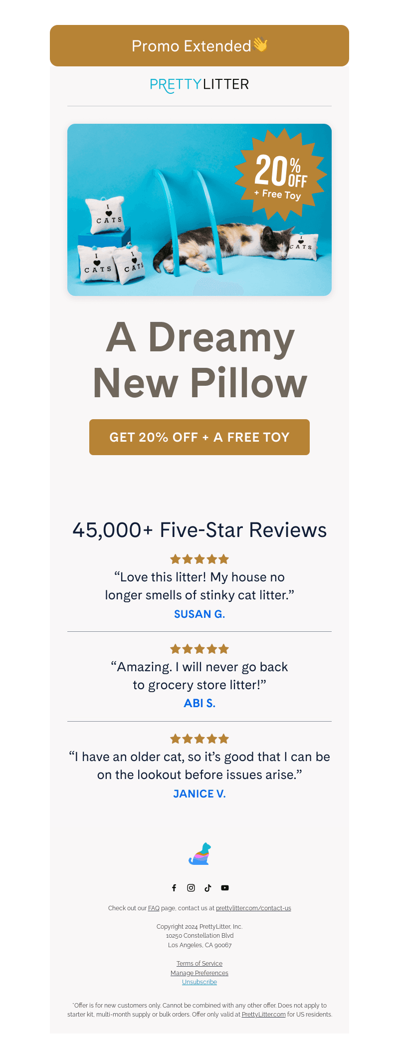 OFFER EXTENDED: 20% Off + Free Cat Pillow
