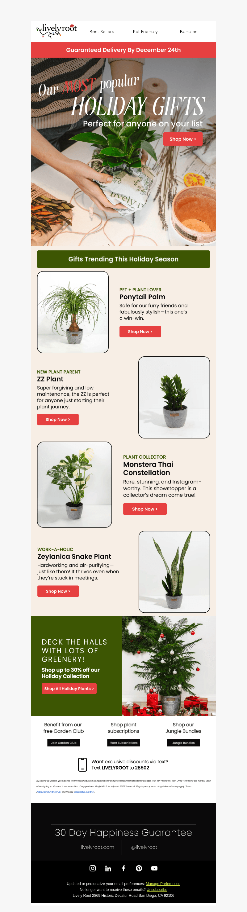 Holiday Gifting? We’ve Got You Covered 🌿✨
