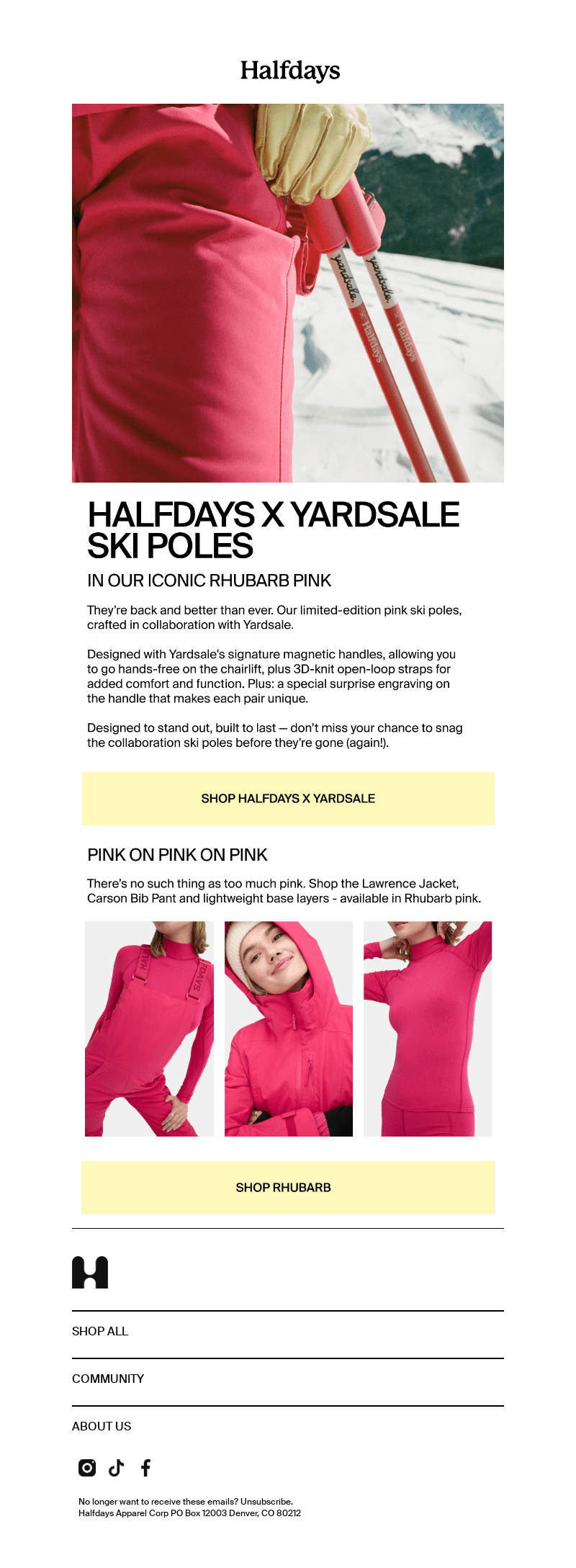 Halfdays x Yardsale Ski Poles Are Back!