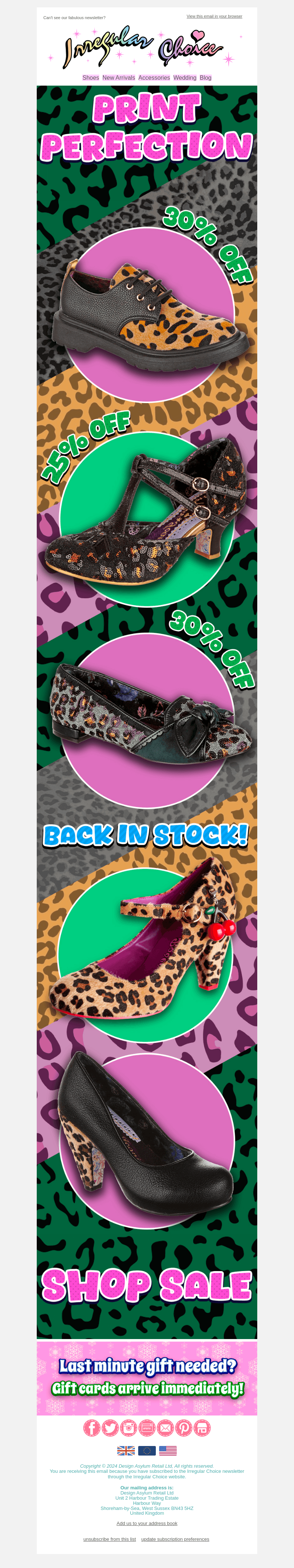 Elevate Your Wild Side in SALE 🐆