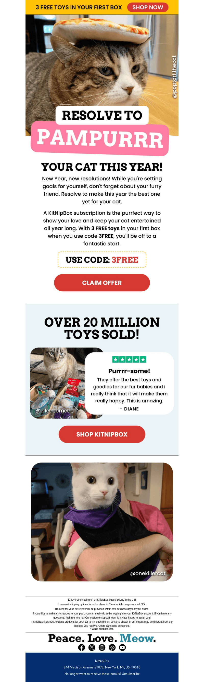2025 is Here — Celebrate KitNipBox-style! 🐈