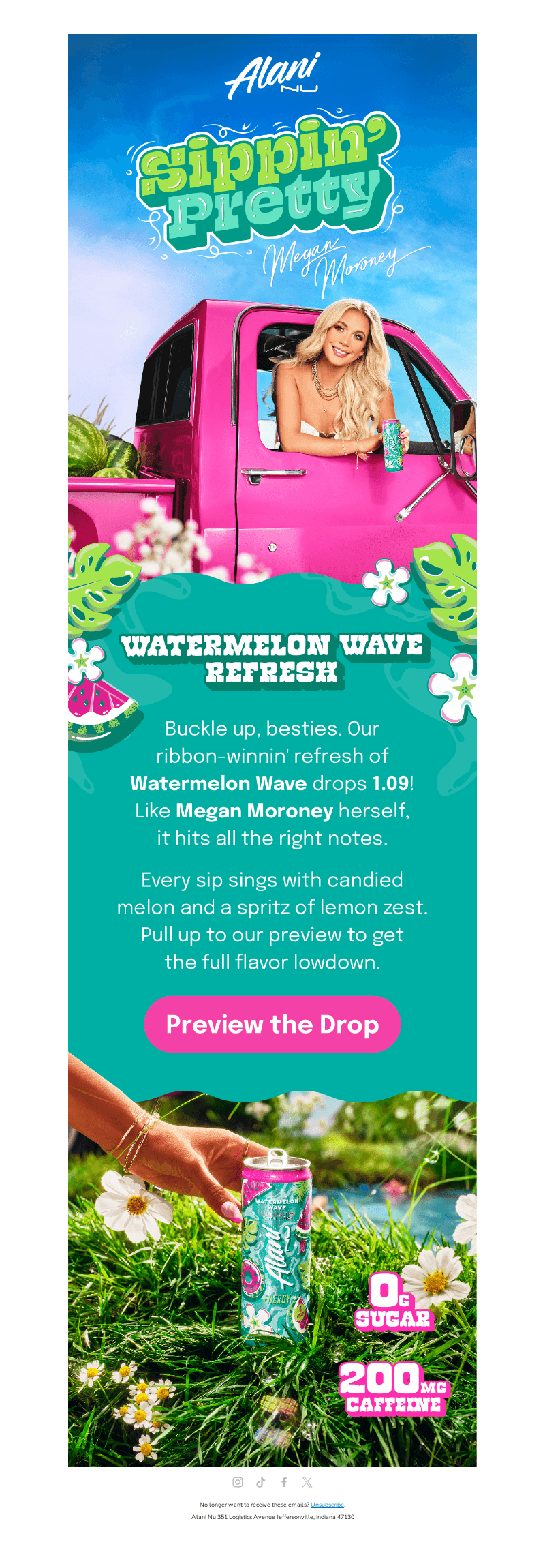 🌸 Watermelon Wave ft. Megan Moroney 🌸