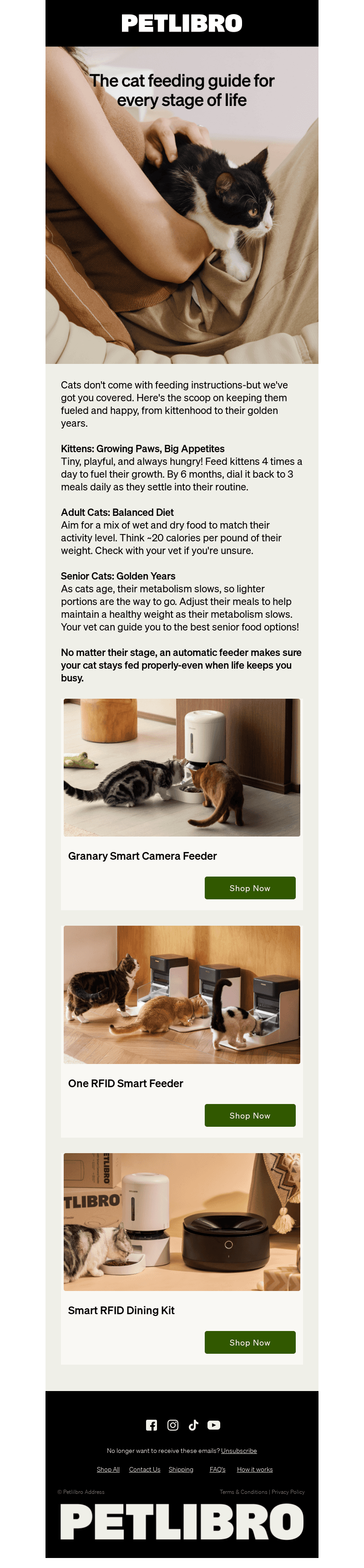 From kitten to senior: The ultimate feeding guide