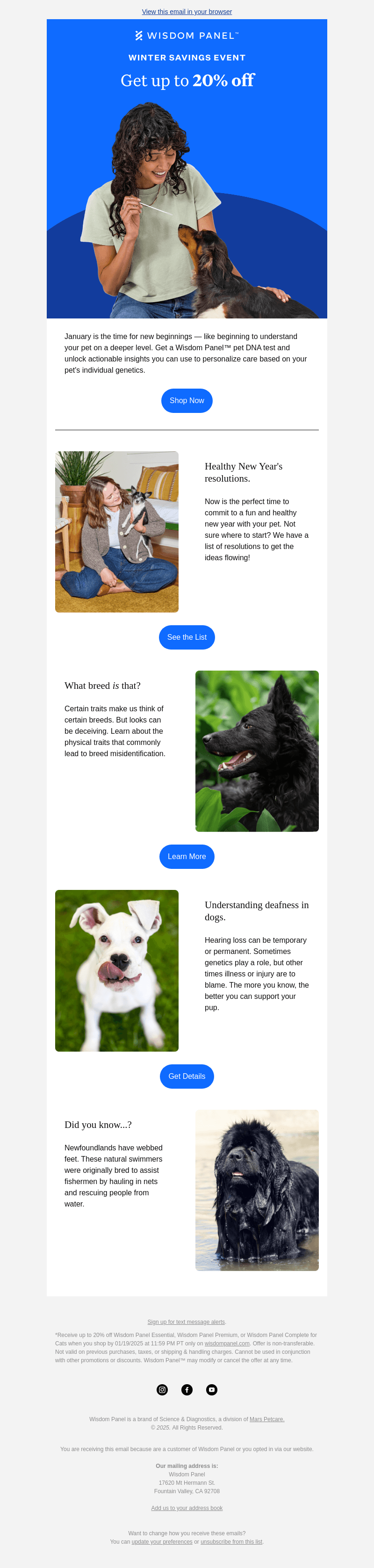 Pet-approved new year's resolutions