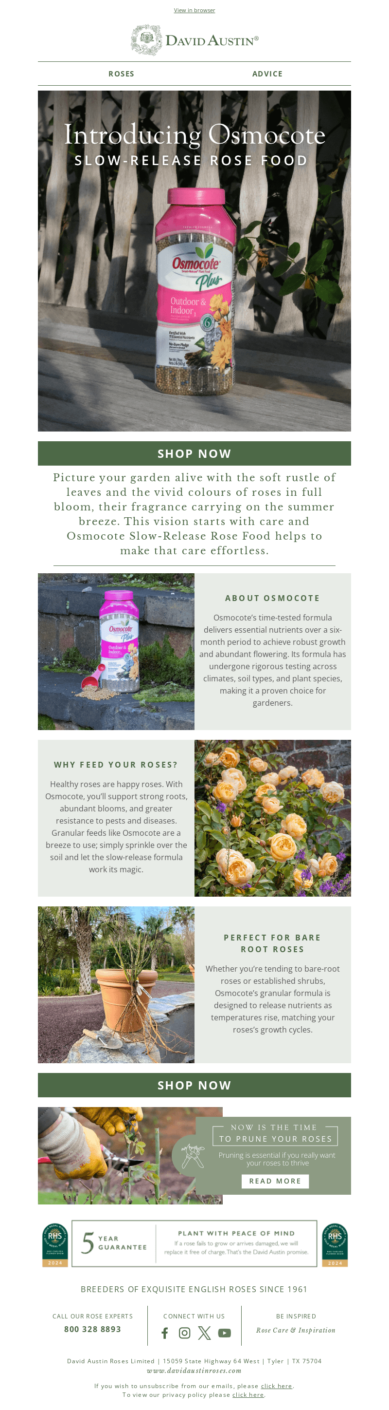 Feed Your Roses With Osmocote