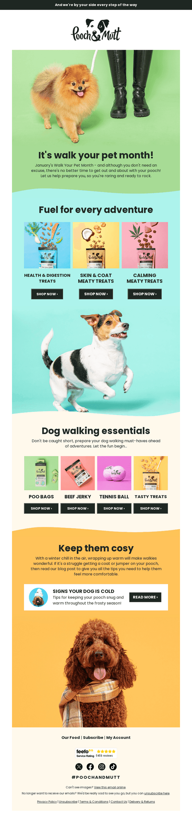 It’s Walk Your Pet Month! 🐕