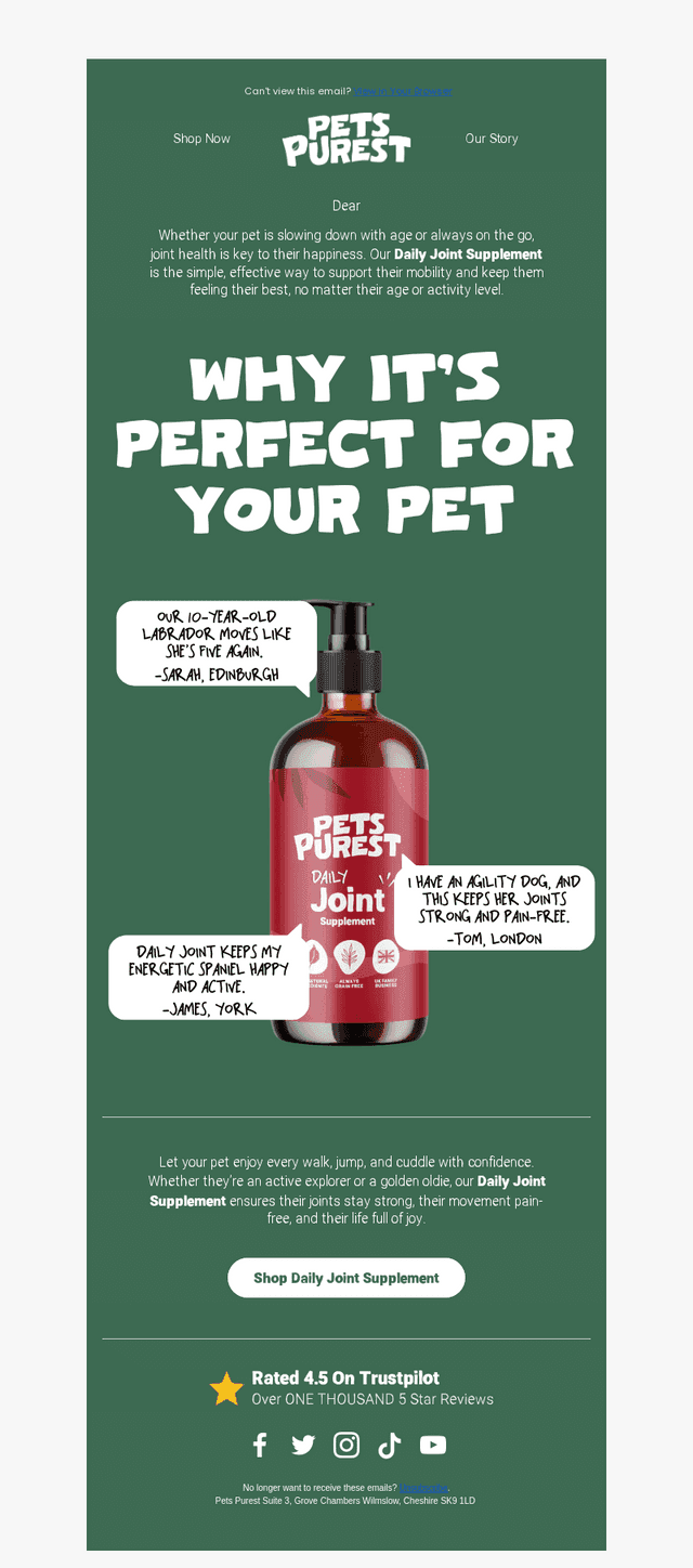 Keep Older Pets Active and Happy All Winter