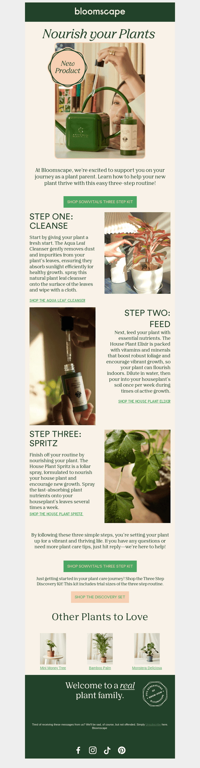 Nourish your plants with this easy three step routine🌱