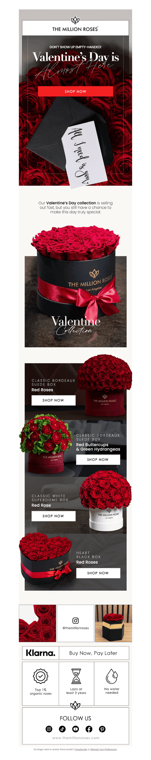 Forever Love, Forever Roses ❤️