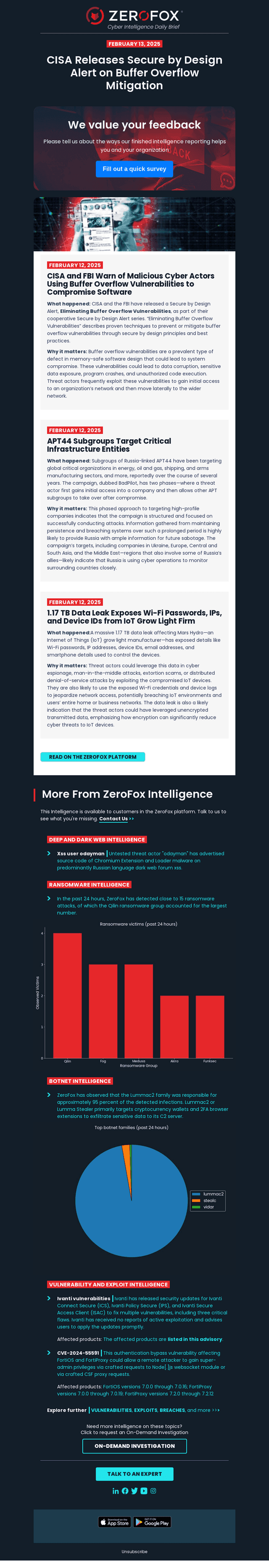 Your Cyber Intelligence Daily Brief: Joint Guidance on Buffer Overflow Protection
