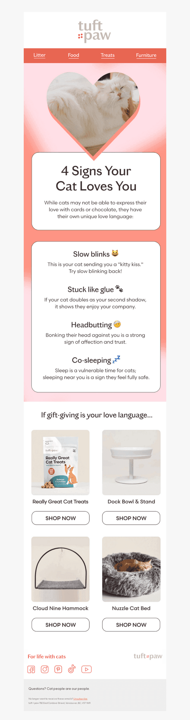 Decoding your cat's love language 😻