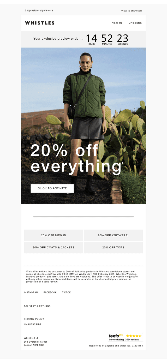 , your 24hr preview: 20% off everything*