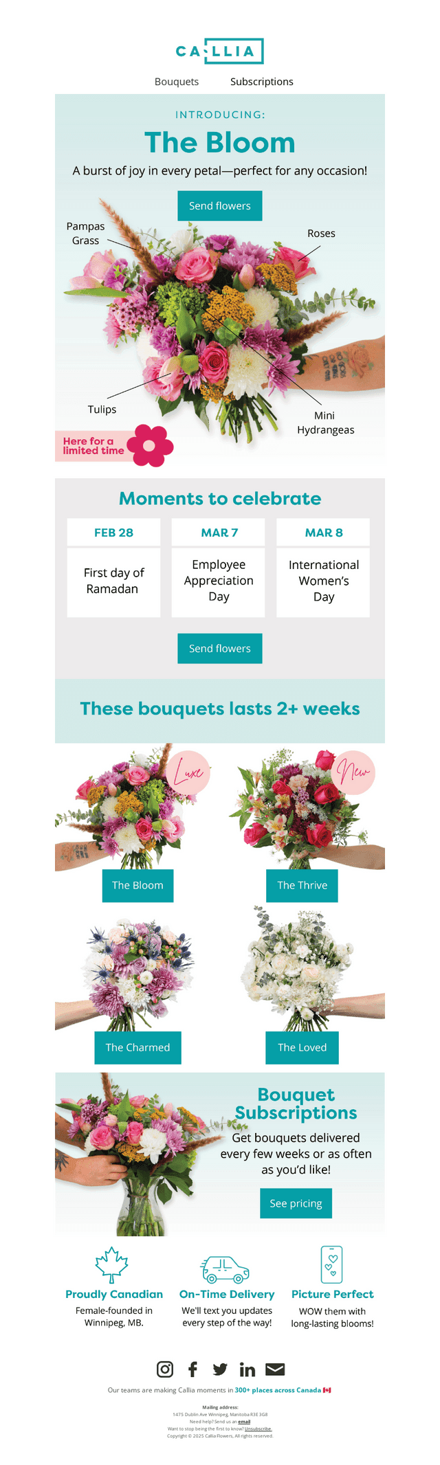 It's TULIP season!! 🌷🌷🌷