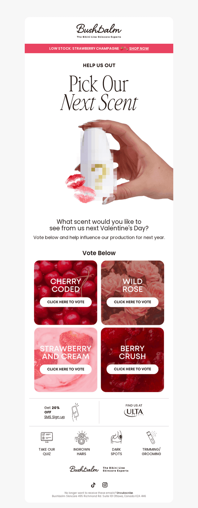 We can't decide! Which scent should we launch? 👀