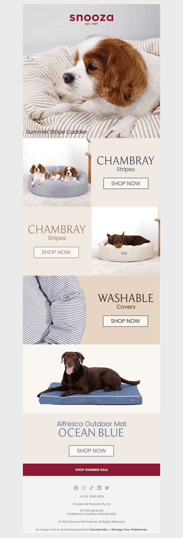 🐶  Summer Deals Unleashed 🐶