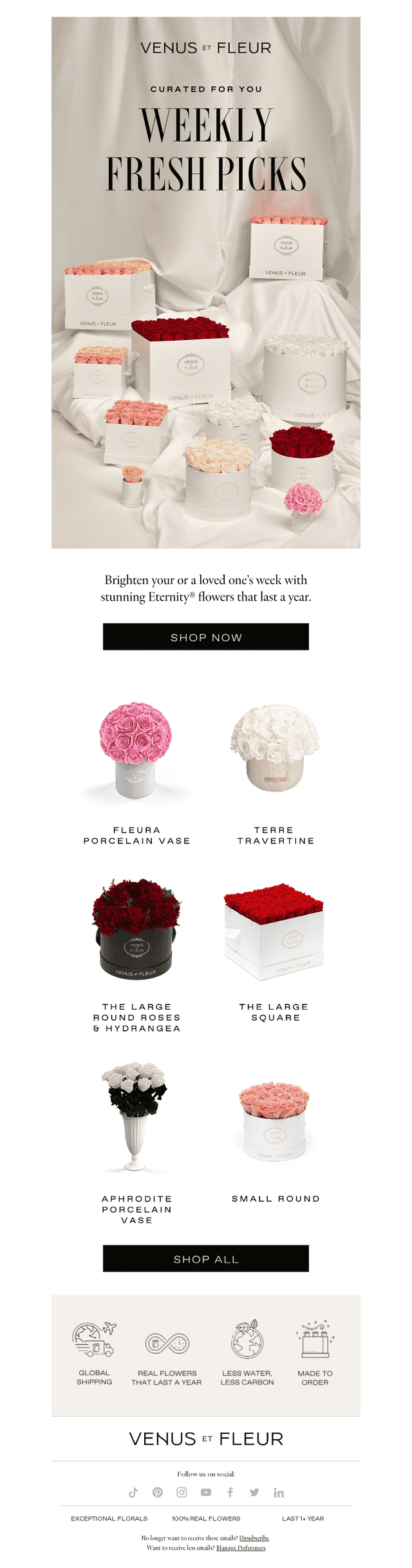 That Fresh Blooms Feeling 🌹