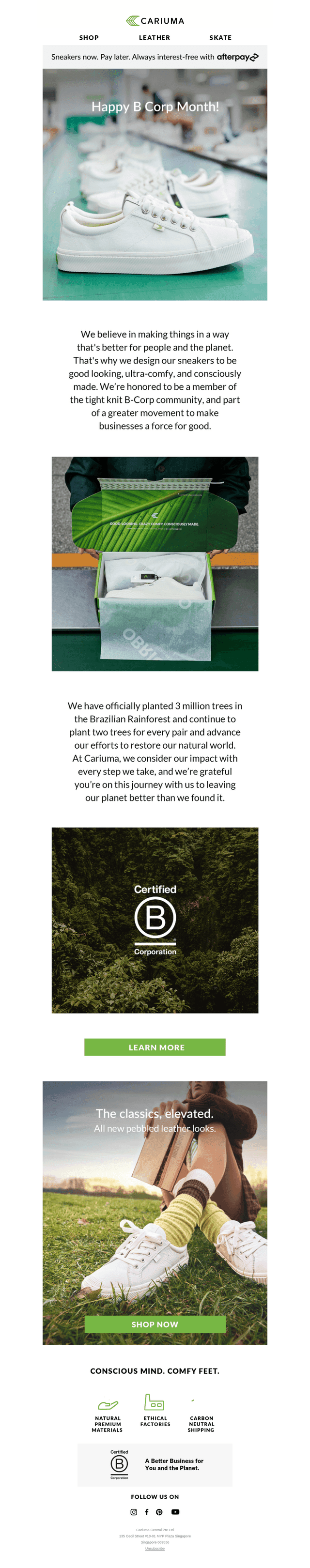 Celebrating B-Corp Month