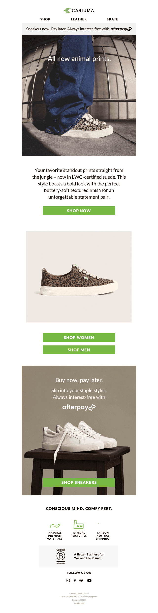 NEW: Animal Prints